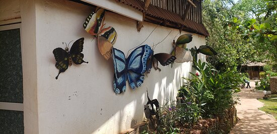 Malakai Eco Lodge主图