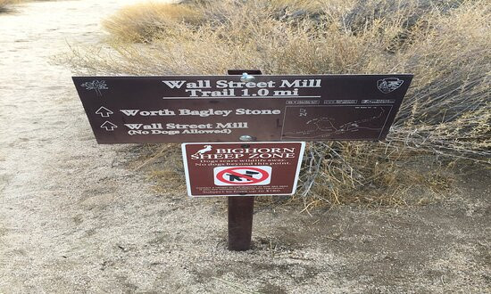 Wall Street Mill-约书亚树国家公园必去景点