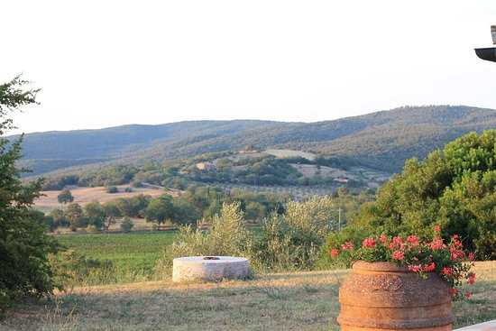 Tenuta Agricola Fraschiera主图