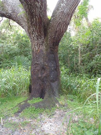Oak Hammock Park-圣露西港必去景点