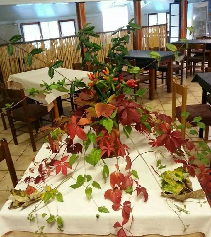 Roccaforte Mondovi餐馆和美食-Bar Ristorante Martincapristo