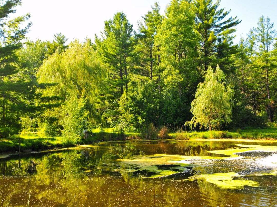 Parc du Domaine Vert景点图片