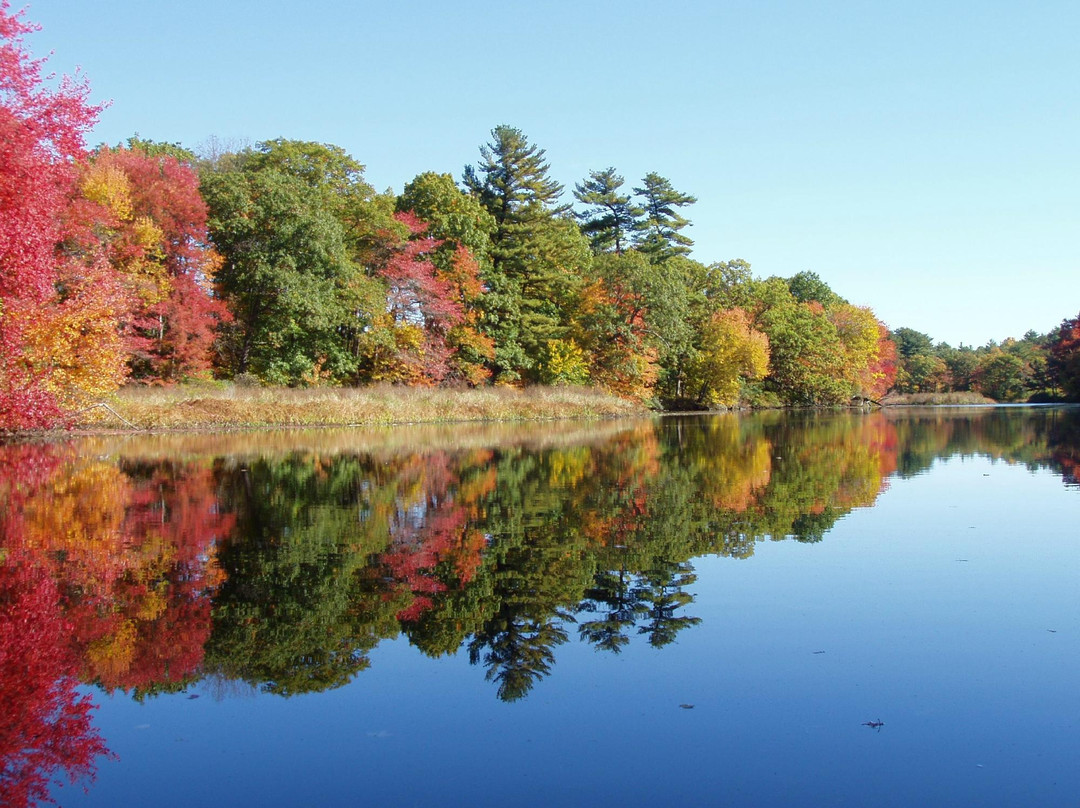 Charles River Peninsula景点图片