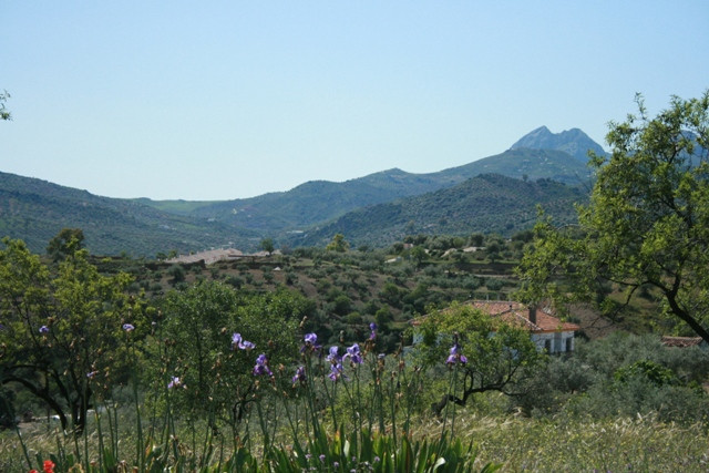 La Estrella