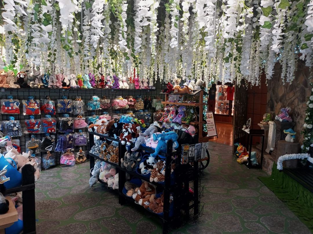 Bearytales Gatlinburg-盖林柏格必去景点