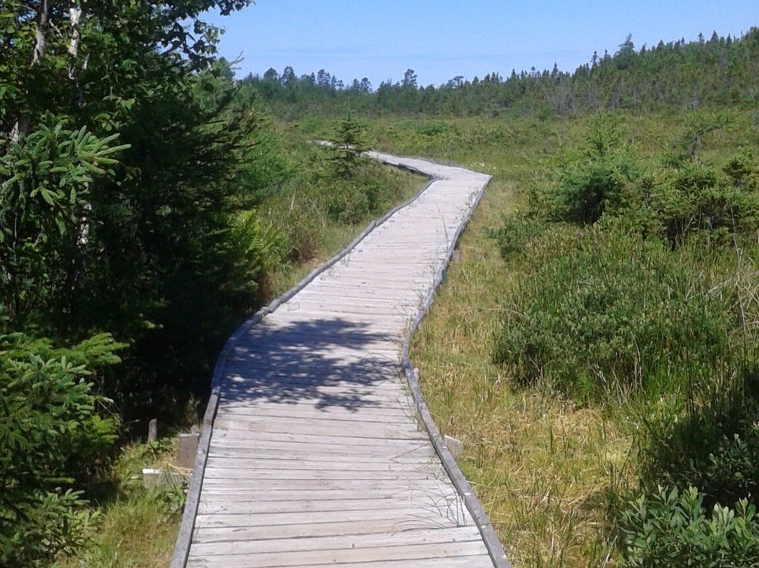 Landing Place Pond Marystown Nl景点图片