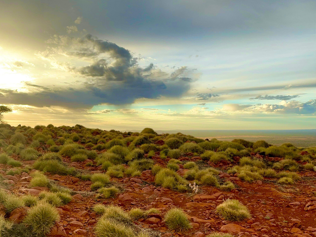 Mt Ive Station旅游攻略图片