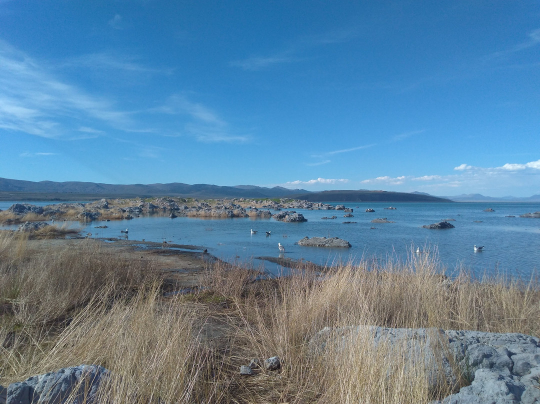 利韦宁旅游景点-Mono Lake Vista Point