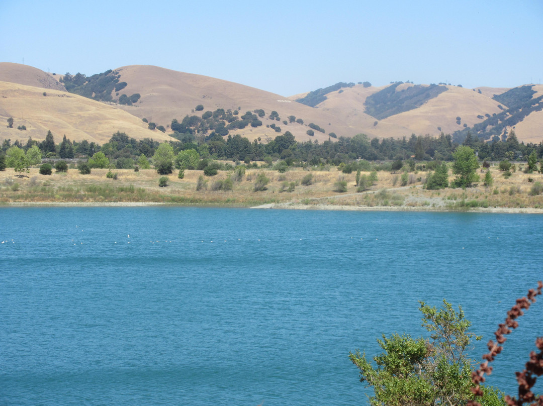 Quarry Lakes Regional Recreation Area景点图片