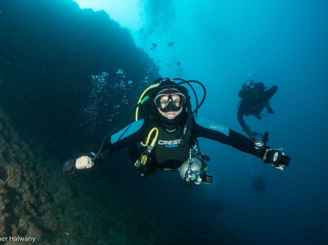 Diving in Lebanon景点图片