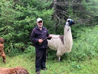 Serendipity Farm Alpacas & Llamas景点图片
