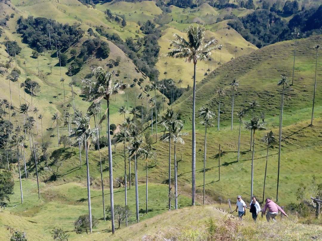 Caldas Ecotravel-Manizales必去景点