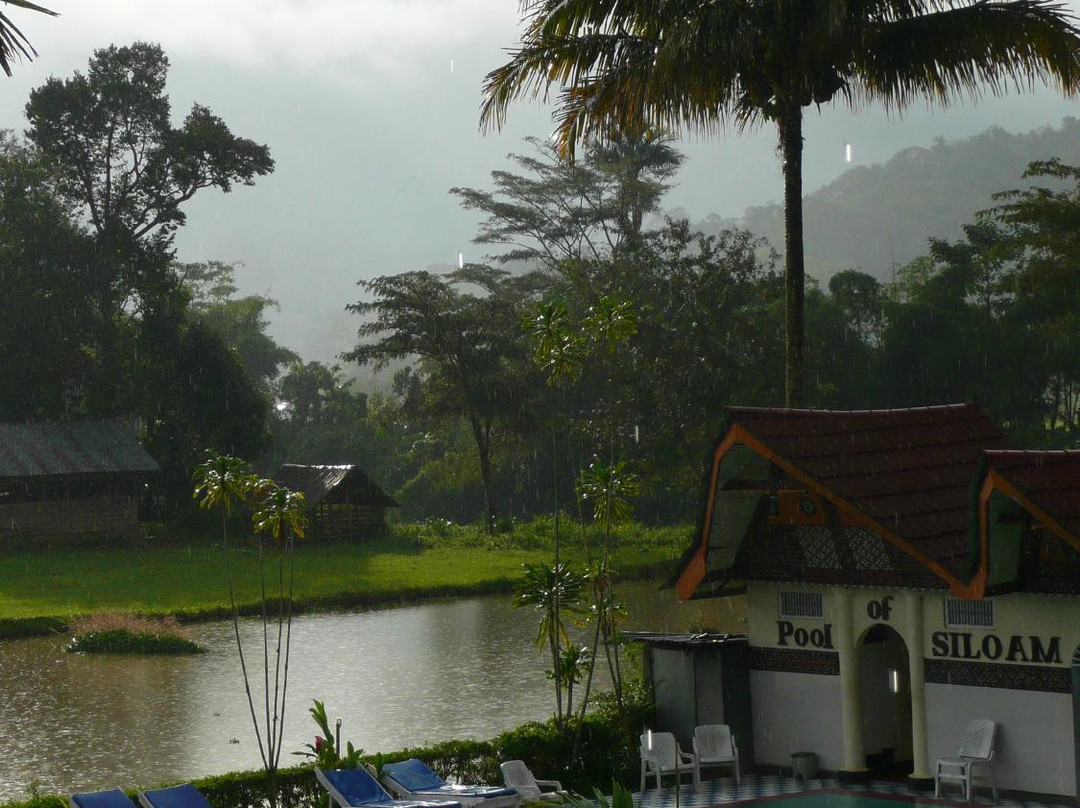 托拉雅托森纳酒店主图