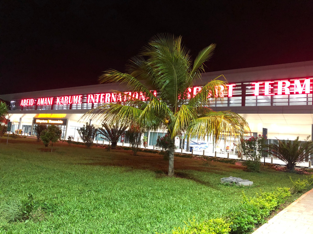 Abeid Amani Karume International Airport Terminal 3景点图片