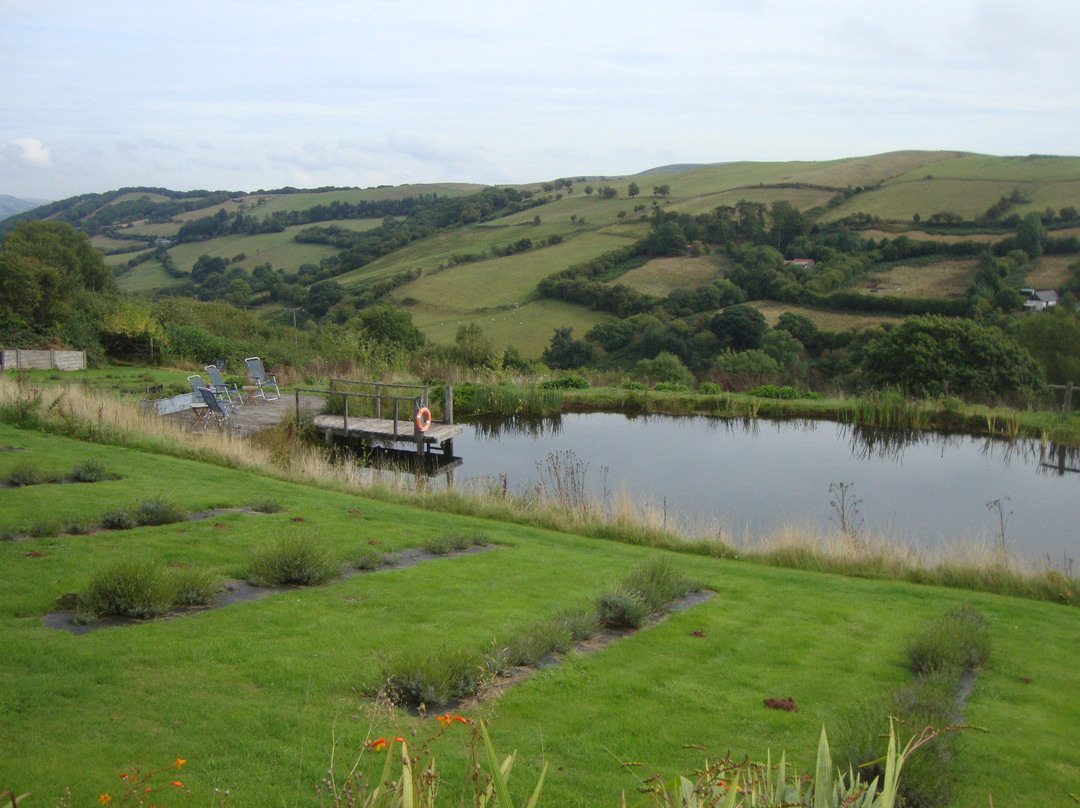 Farmers' Welsh Lavender Ltd景点图片