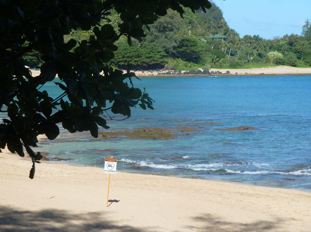 Kauai Scuba Adventures景点图片
