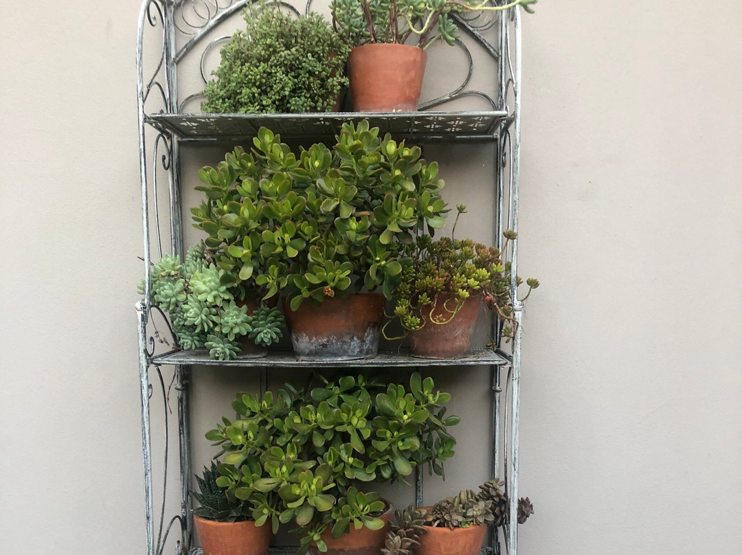 Abiento Guesthouse主图