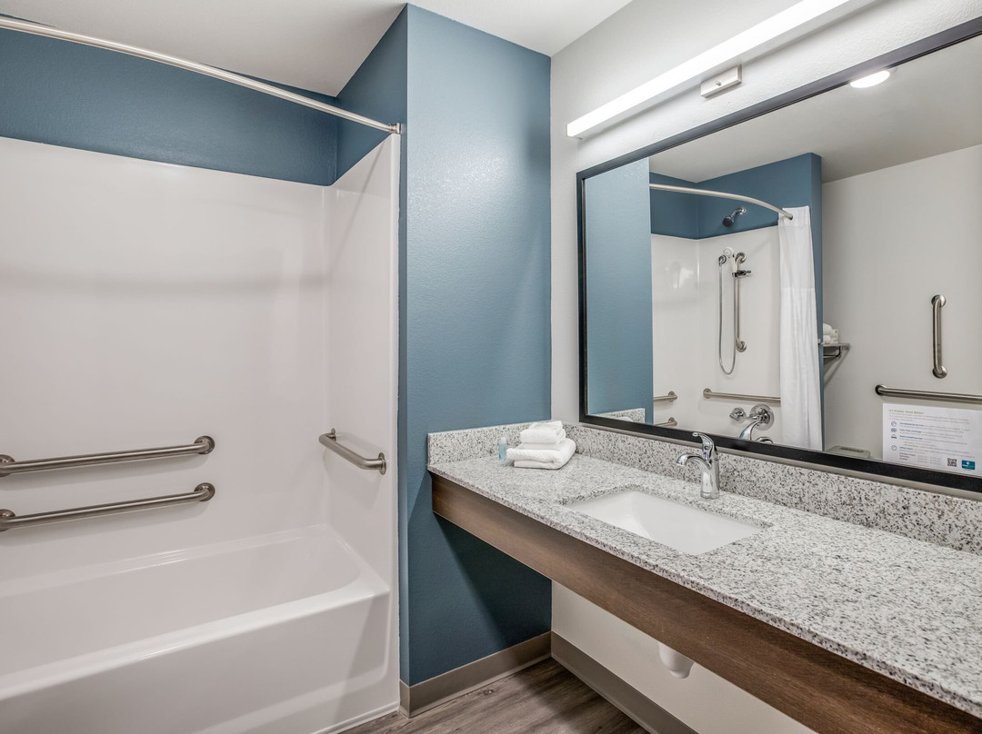 伍德斯普林套房底特律农场山