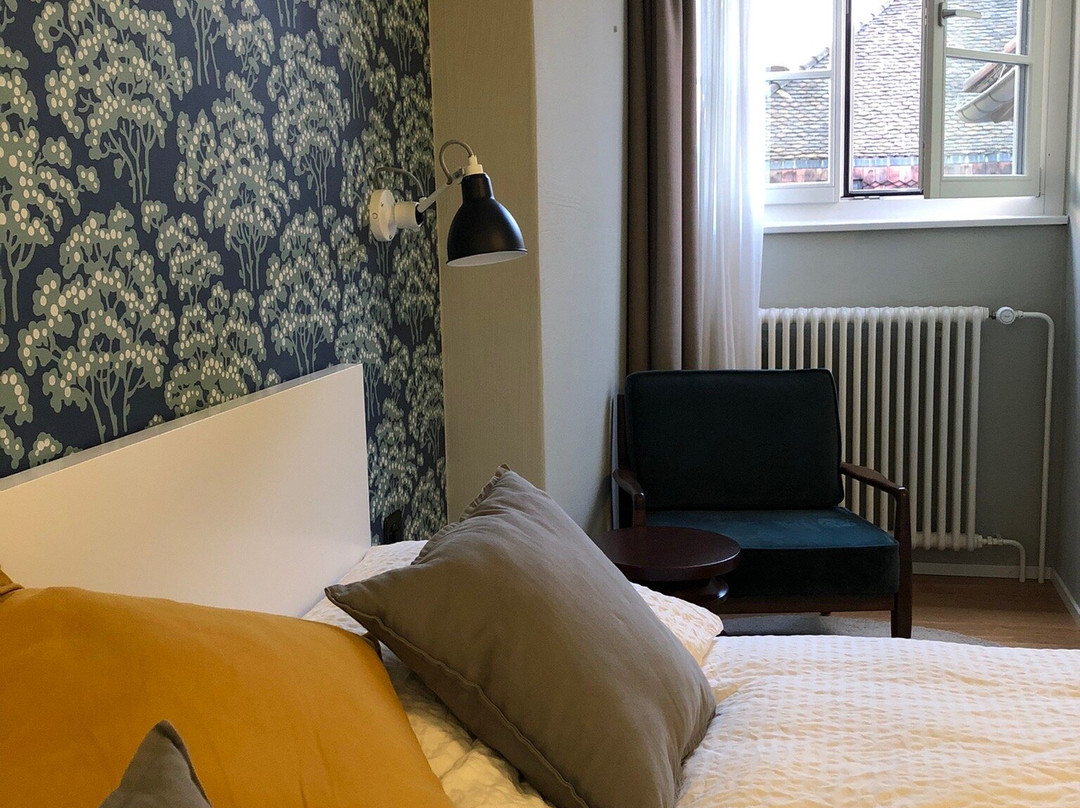 ADLER Boutique Hotel主图