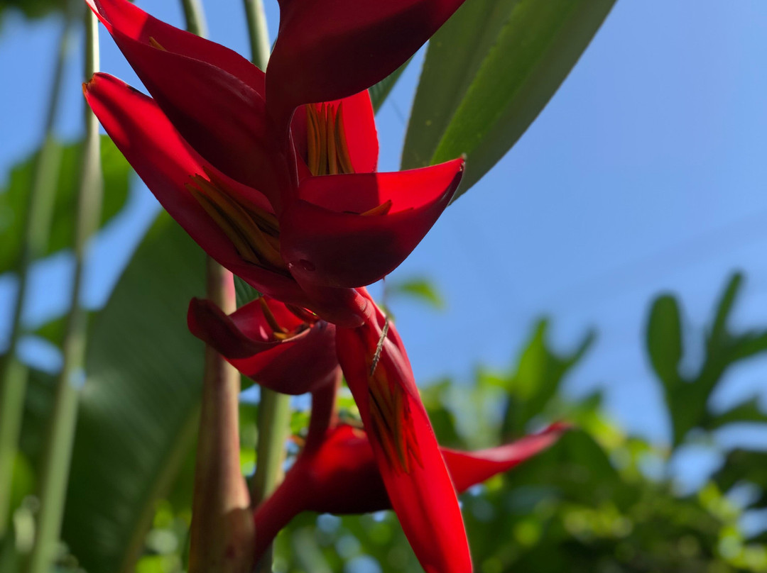 Martina's Oasis Spa-从莫雷洛斯港必去景点