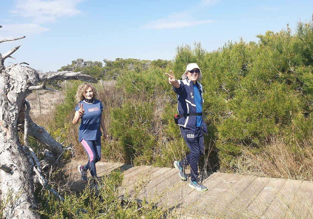 Mirador De Aves-San Pedro del Pinatar必去景点