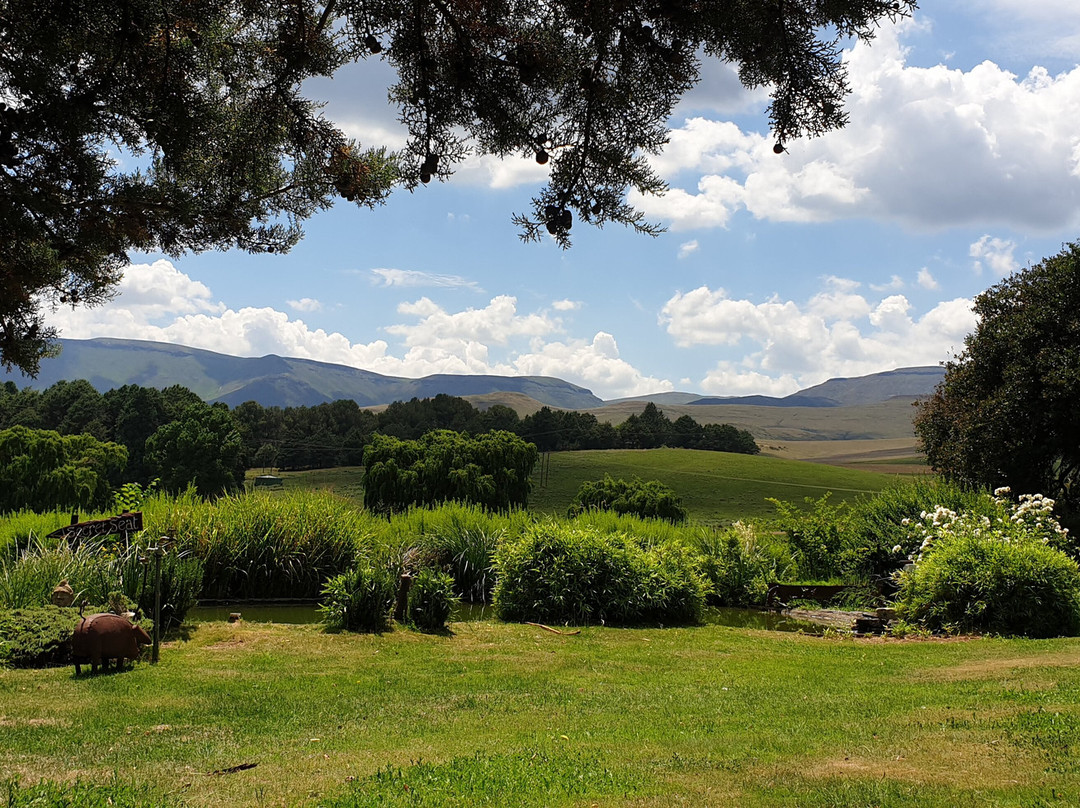 Walkerbouts Inn - Rhodes主图