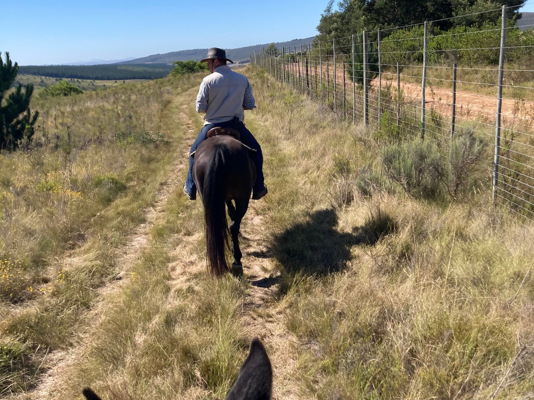 Oudebosch Mountain Lodge主图