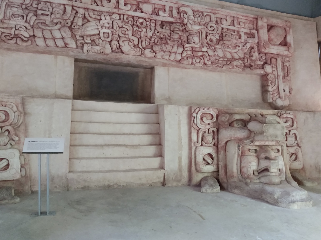 Calakmul Tours By Enrique景点图片