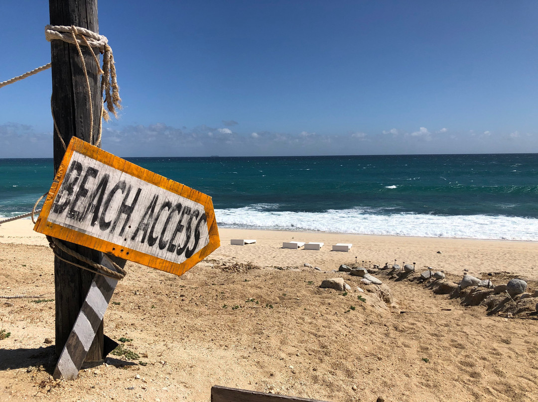 Vidasoul Hotel主图