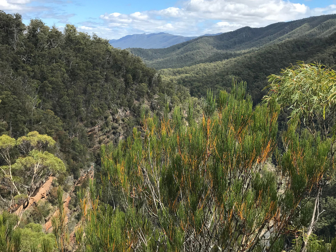 Alum Cliffs-Chudleigh必去景点