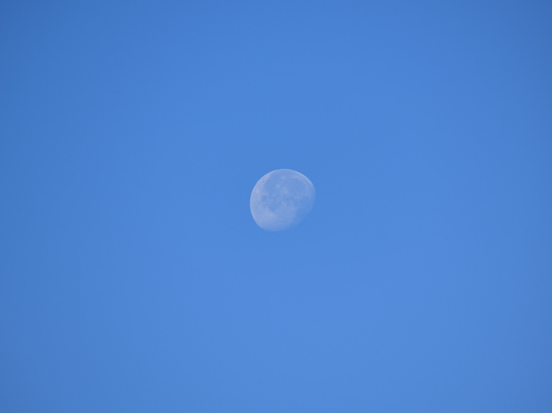 Digantaa Resort主图