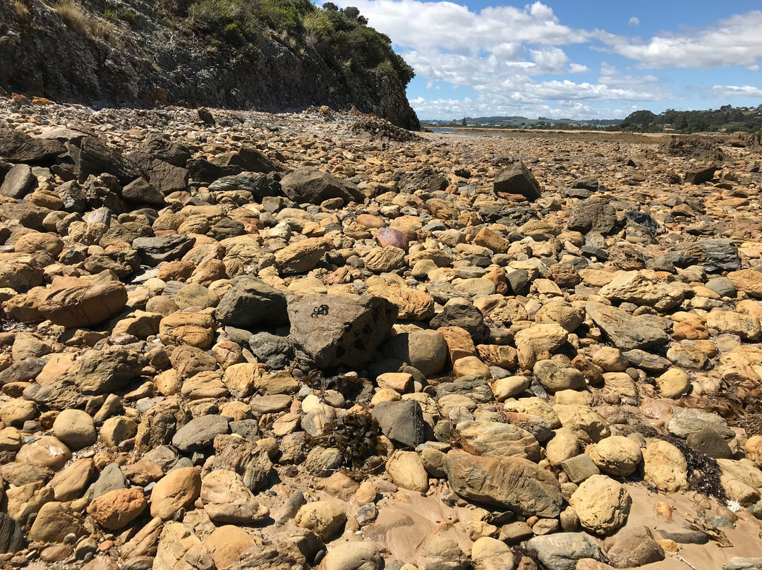 Goat Island-Ulverstone必去景点