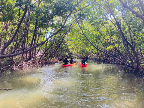 La Vita e' Bella- Marco Eco Tours-马可岛必去景点