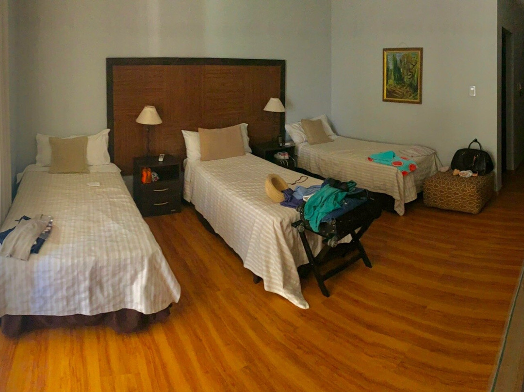 Suter Petit Hotel主图