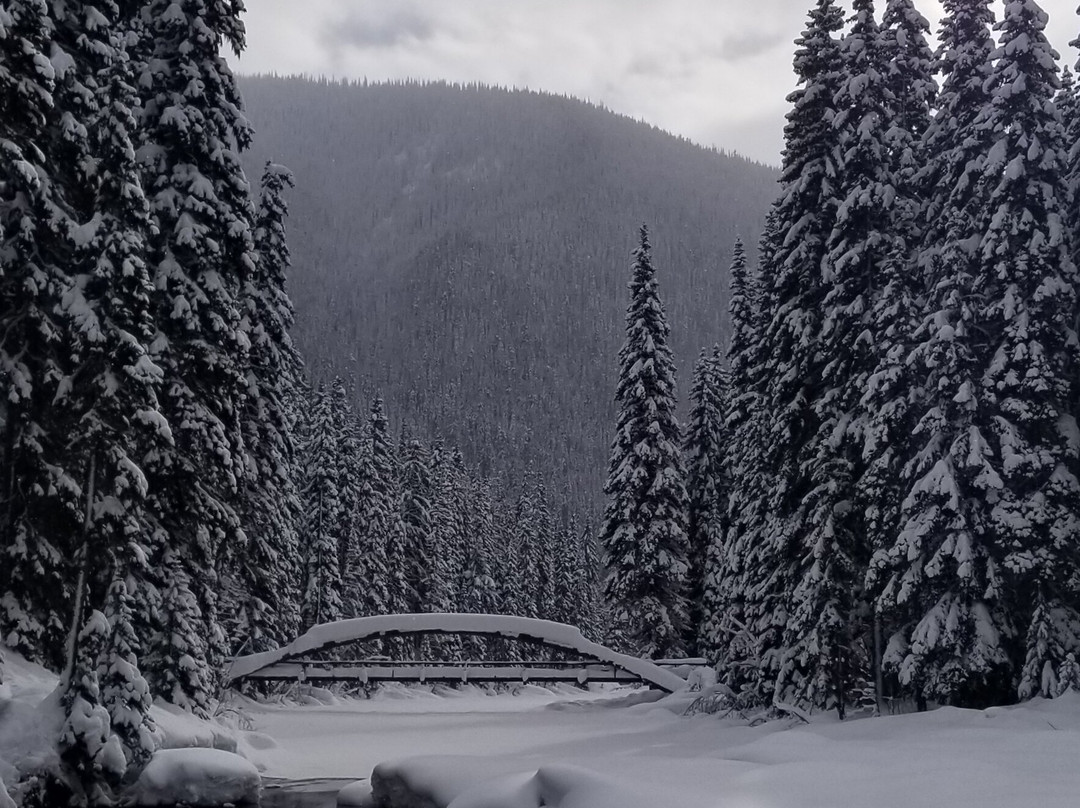 E.C Manning Provincial Park-曼宁公园必去景点