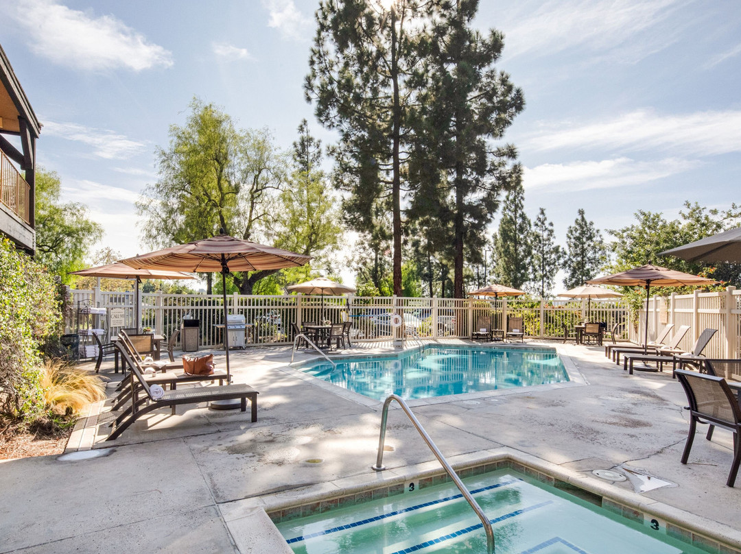 阿尔派恩艾尔斯小屋酒店主图