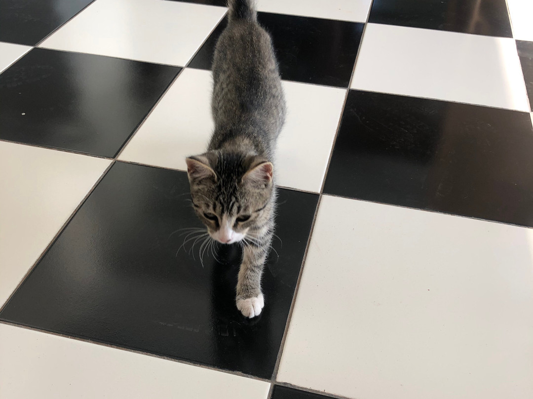 Posada Finca Garciarena主图