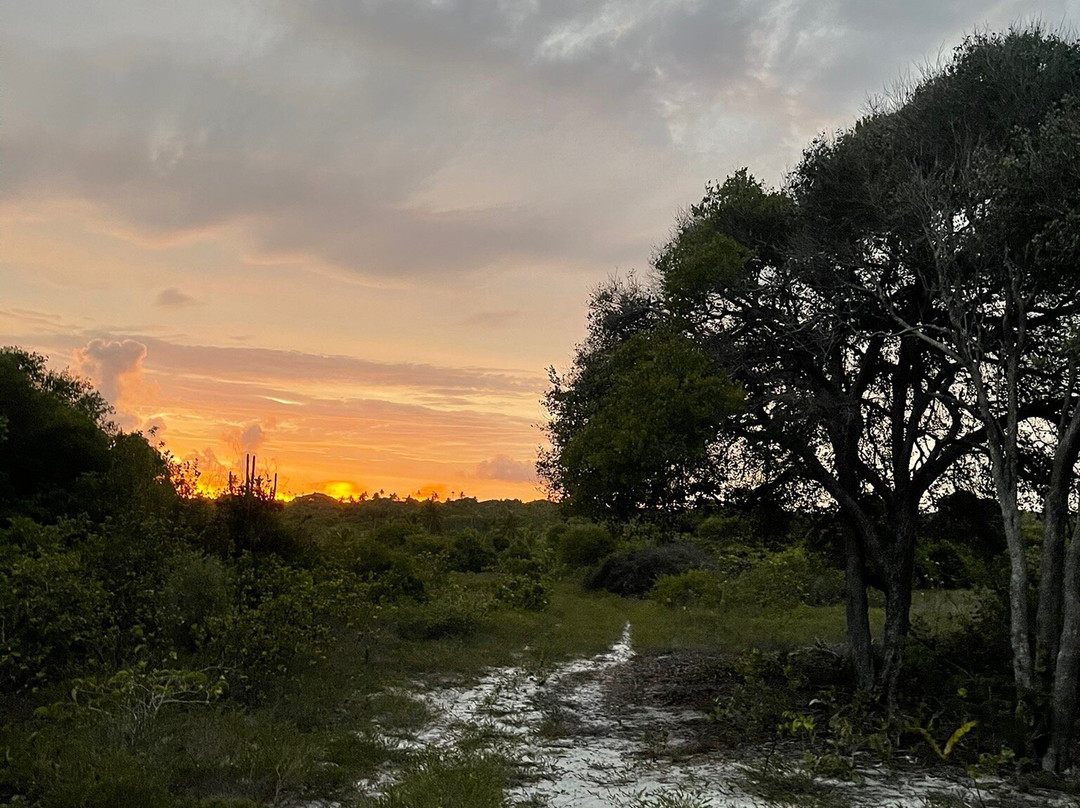 Pousada na Bahia Too Cool主图
