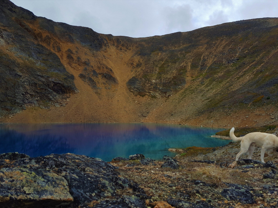Atlin Backcountry Adventures-Atlin必去景点