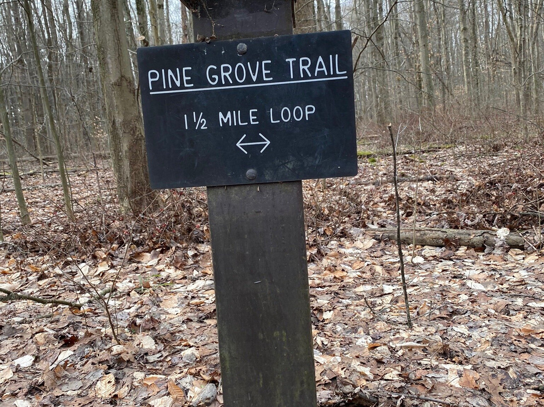 Pine Grove Trail景点图片