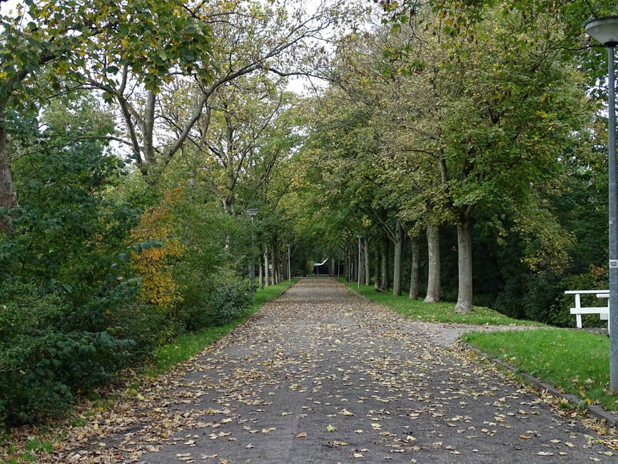 Dorp Middenbeemster-米登贝姆斯特必去景点