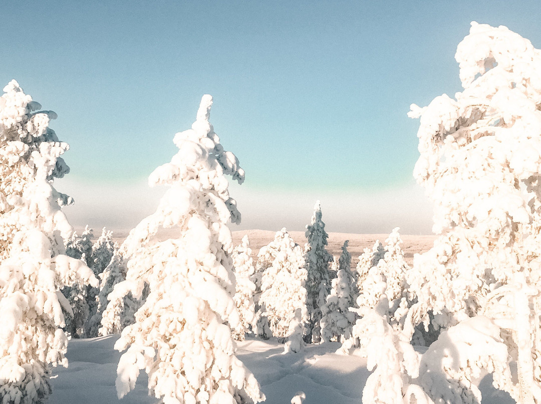 Ostra FINKA-罗瓦涅米必去景点