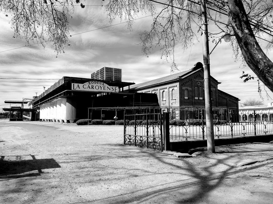 Bodega la Caroyense
