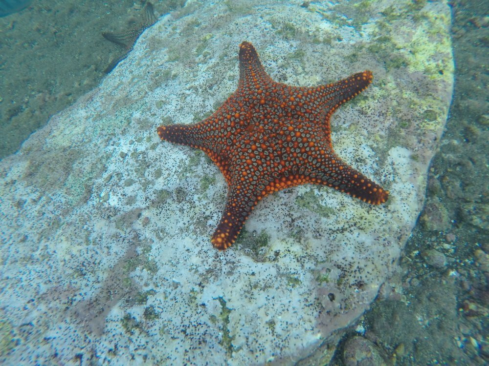 My Tour Galapagos-Bartolome必去景点