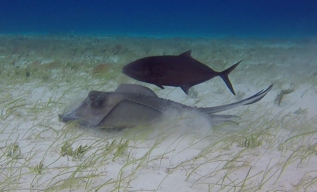 Kily The Kid-考祖梅必去景点