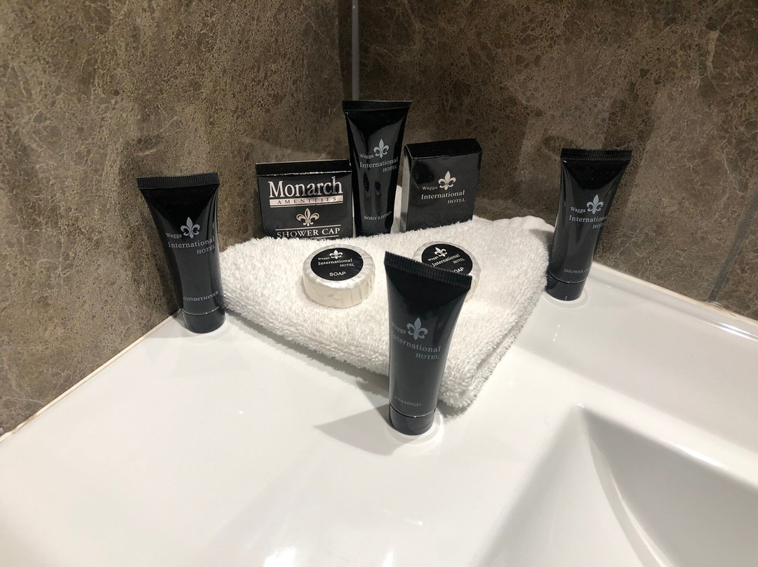 International Hotel Wagga Wagga主图