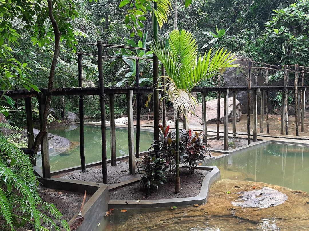 Kingdom Secret主图