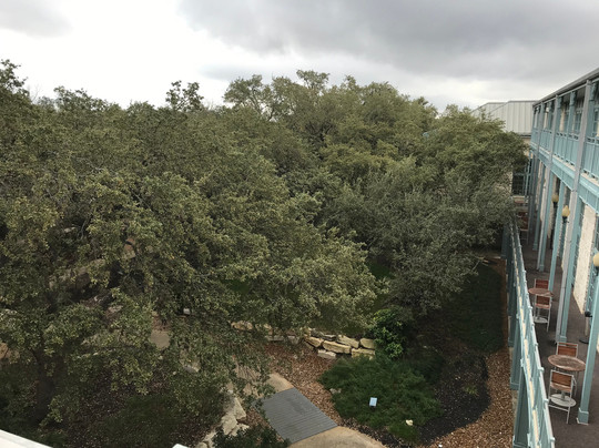 Hyatt Regency Hill Country Resort and Villas主图