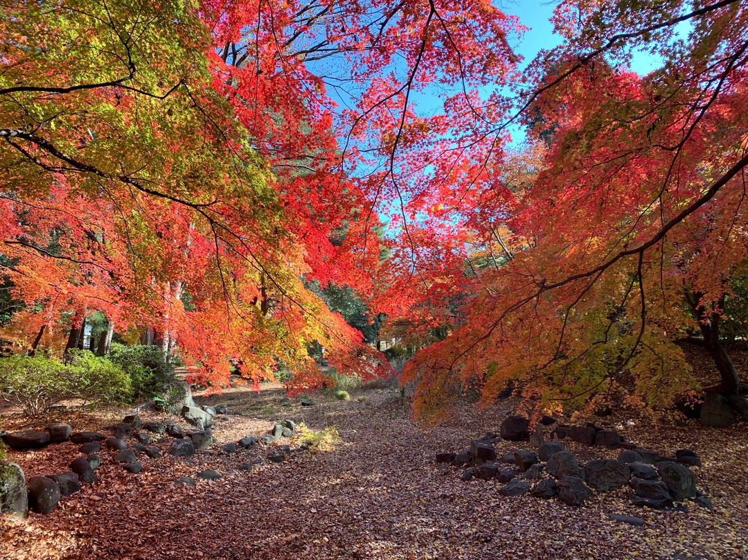 Nishi Park-仙台市必去景点