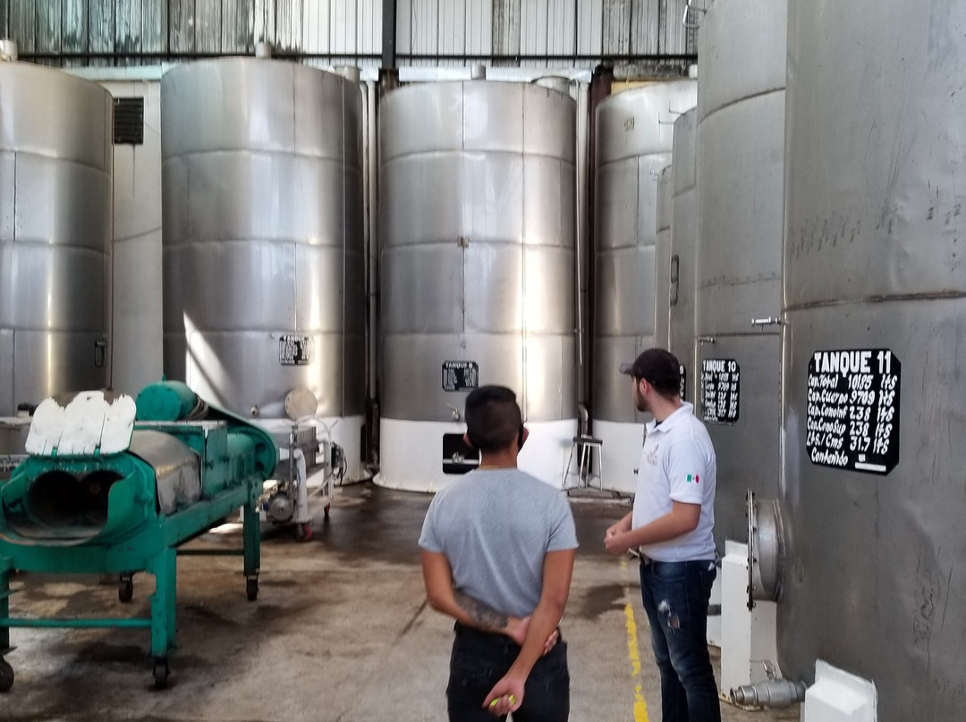 Vinicola San Patricio-Tequisquiapan必去景点